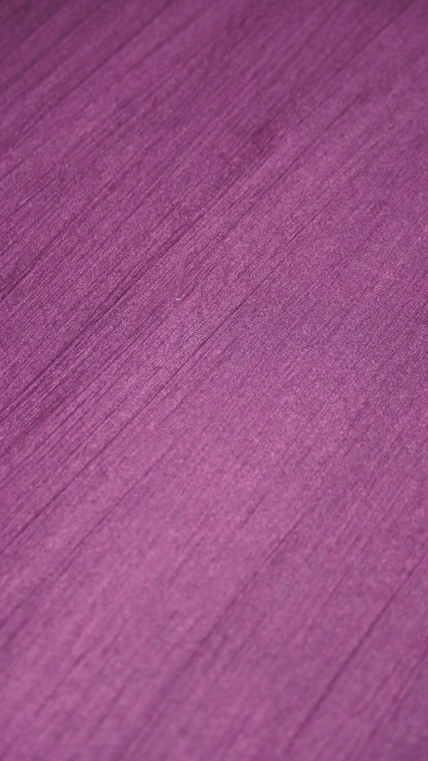 DSC02793